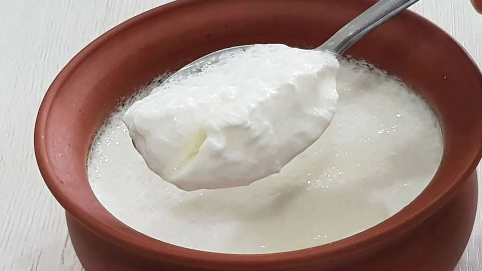 Dahi Benefits of Eating Curd Sugar Dahi Chini Khane Ke Fayde Aur Upay |Dahi ...