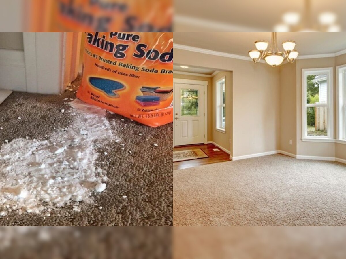 Dust accumulated carpet can be cause of allergy clean it shine like new