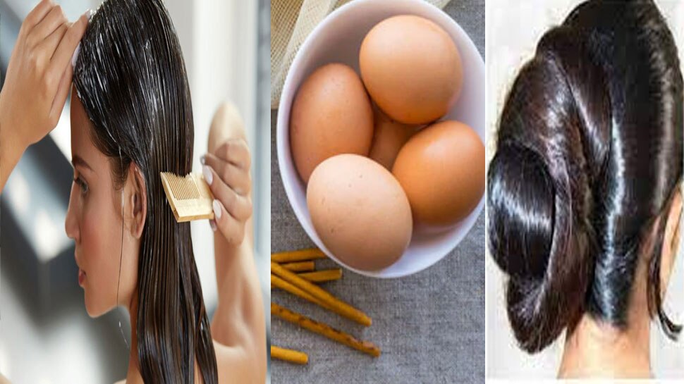 winter hair care tips best egg hair mask for dandruff cure in hindi