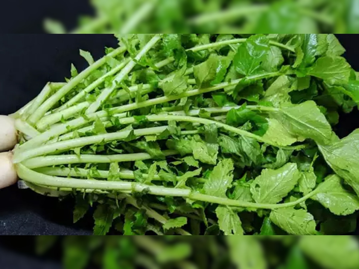 Radish Leaves benefits: सैकड़ों दिक्कतों का एक इलाज हैं 'मूली के पत्ते'; फायदे जान हो जाएंगे हैरान