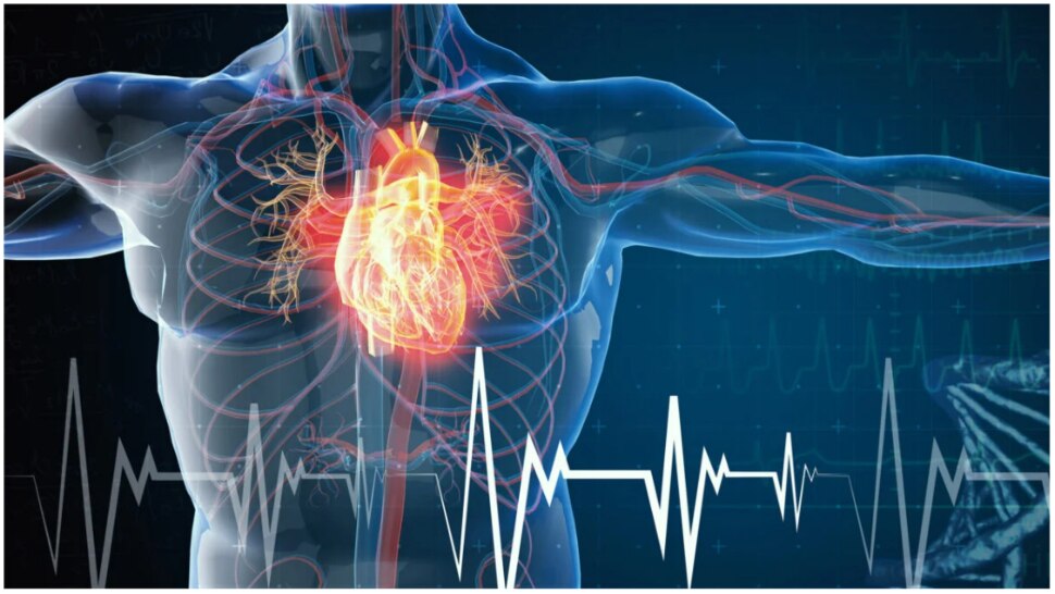 Artificial Intelligence: अब AI बताएगा आपके दिल का हाल, एक X-Ray से चलेगा पता अगले 10 साल में हार्ट अटैक का कितना खतरा