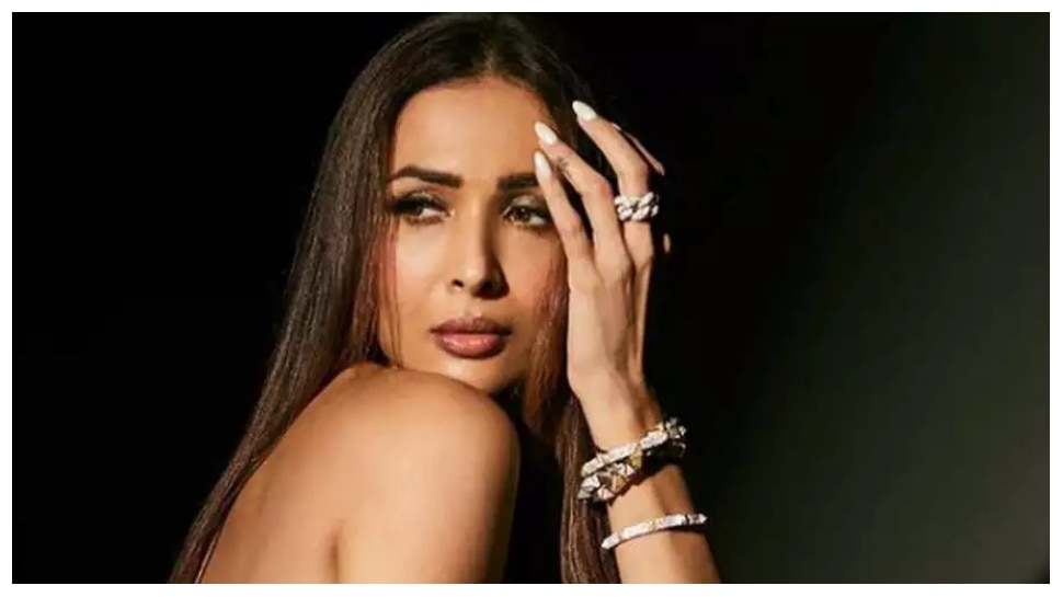 Moving In With Malaika: मलाइका के शो का बना मजाक, वायरल हुए फनी मीम्स, लोगों ने कहा- 'कितना नकली...'