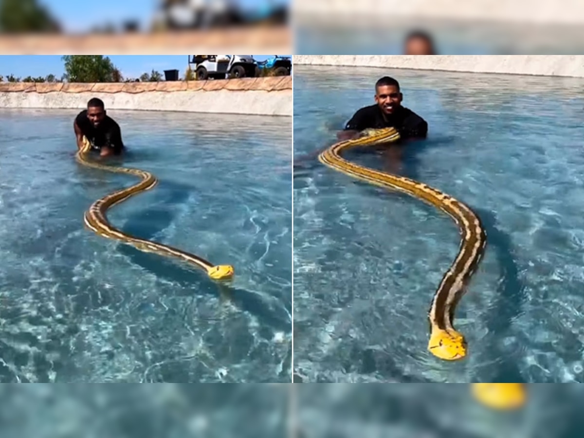 python snake in swimming pool man enjoying with python must watch what ...