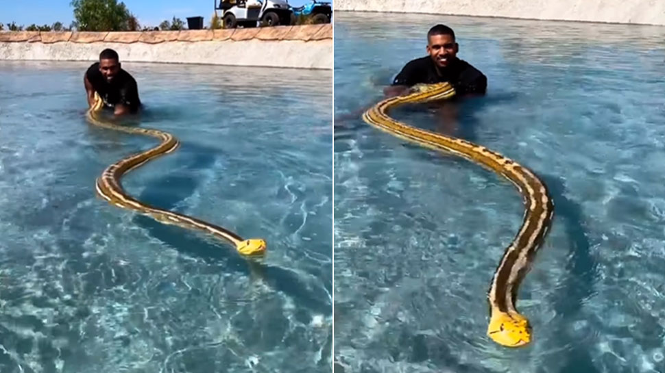 python snake in swimming pool man enjoying with python must watch what ...
