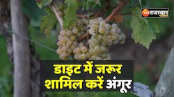 Health Tips: सर्दियों में फिट रहना चाहते हैं तो डाइट में जरूर शामिल करें अंगूर