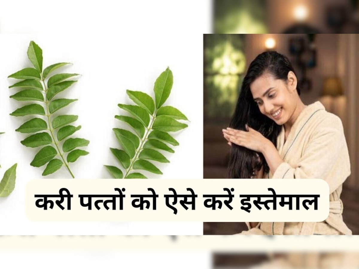 Curry Leaves For Hair: करी के पत्ते से बालों की समस्‍या होती है खत्‍म, जान लीजिए इस्तेमाल का तरीका 