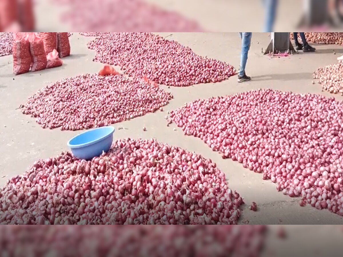 प्याज का राजस्थान में अच्छा उत्पादन, पर दाम इतने कम की रोह रहे हैं किसान.