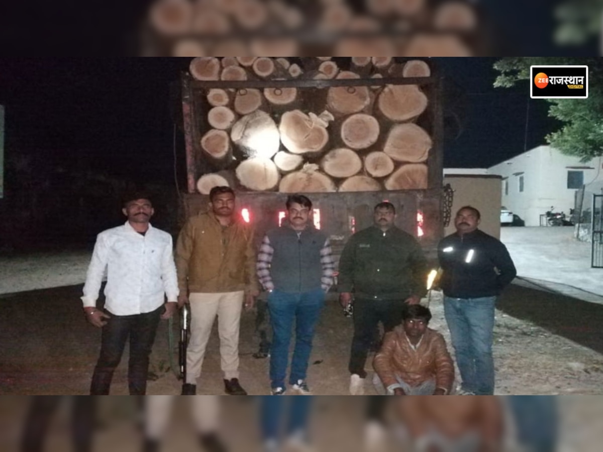 आसपुर: डीएसटी की बड़ी कार्रवाई, क्वार्टज पत्थरों से भरा डंपर और गीली लकड़ी से भरा ट्रक जब्त
