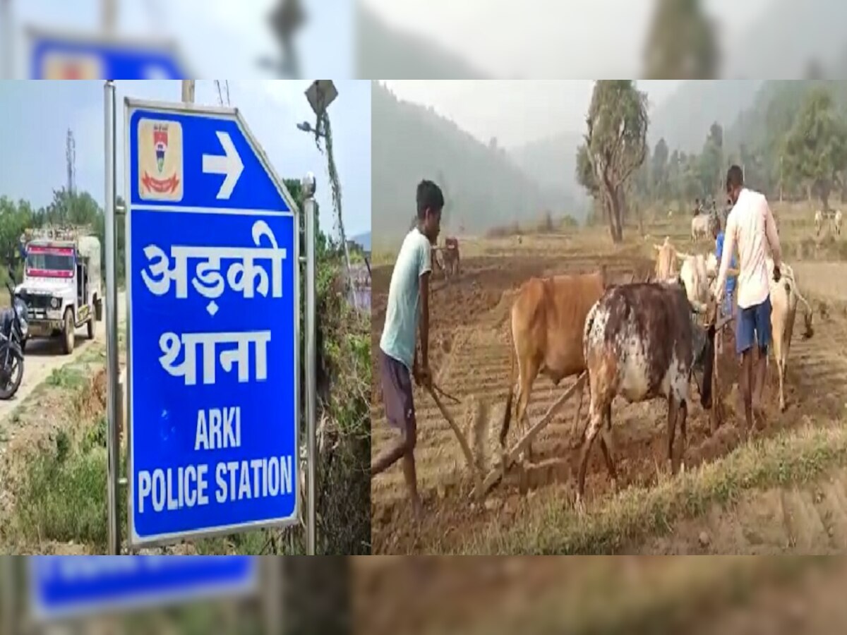Jharkhand news: अफीम की अवैध खेती के खिलाफ चलाया गया जागरूकता अभियान, किसानों ने बोए चने