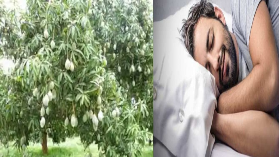 सपने में फल से लदा पेड़ देखना
