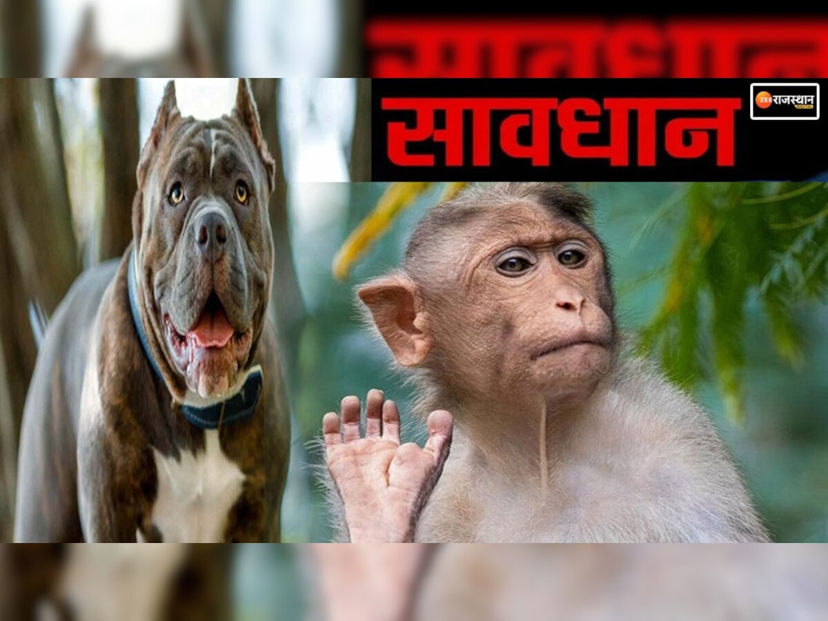 Indian Law in hindi : इन जानवरों को छेड़ा तो होगी सीधी जेल, IPC में बने हैं ये नियम