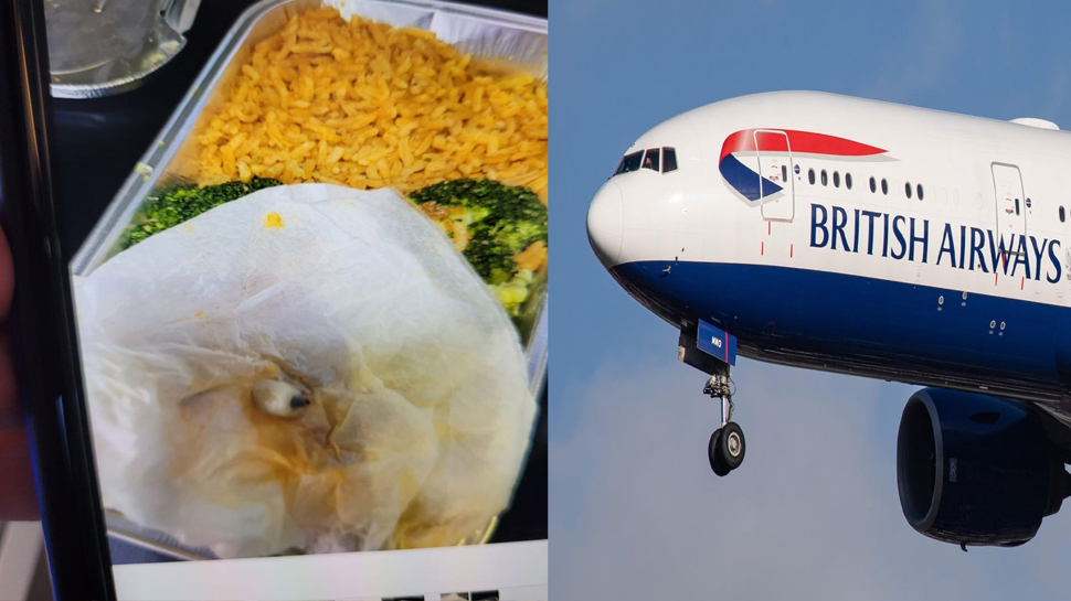 British Airways के खाने में मिला दांत, सोशल मीडिया पर लोगों ने लगाई क्लास British Airways के खाने में मिला दांत, सोशल मीडिया पर लोगों ने लगाई क्लास