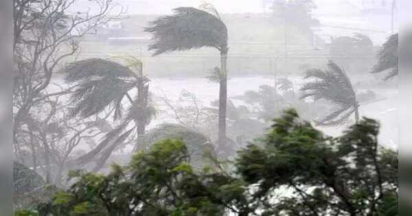 Cyclone Mandous Landfall Process Continues; Chennai Bombarded with Heavy  Rain | Cyclone Mandous: साइक्लोन 'मैंडूस' ने आंध्र प्रदेश-तमिलनाडु में मचाई  तबाही, बारिश-आंधी में गिरे कई पेड़ ...