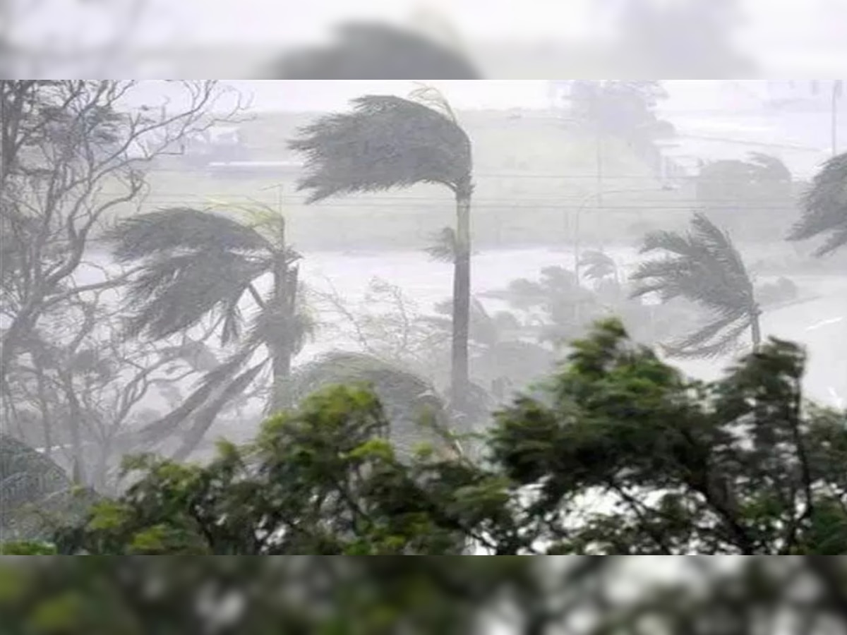 Cyclone Mandous: साइक्लोन 'मैंडूस' ने आंध्र प्रदेश-तमिलनाडु में मचाई तबाही, बारिश-आंधी में गिरे कई पेड़
