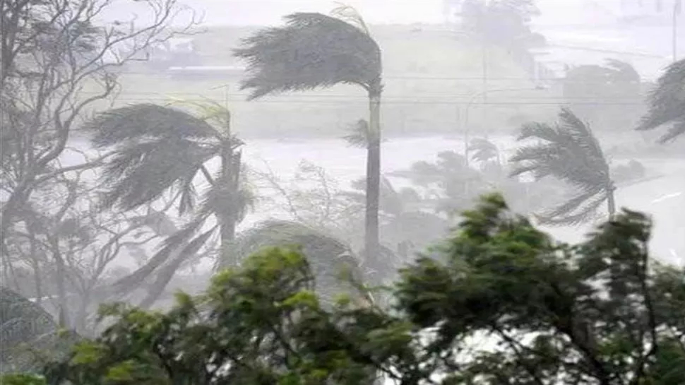 Cyclone Mandous Landfall Process Continues; Chennai Bombarded with Heavy Rain | Cyclone Mandous: साइक्लोन 'मैंडूस' ने आंध्र प्रदेश-तमिलनाडु में मचाई तबाही, बारिश-आंधी में गिरे कई पेड़ ...