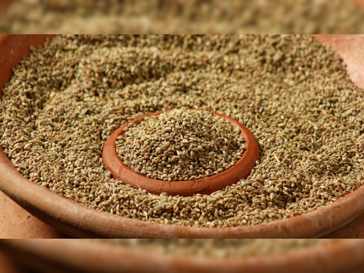 Ajwain Benefits: सर्दियों में शरीर को गर्म रखने के लिए करें अजवाइन का सेवन, जान लें खाने का सही तरीका