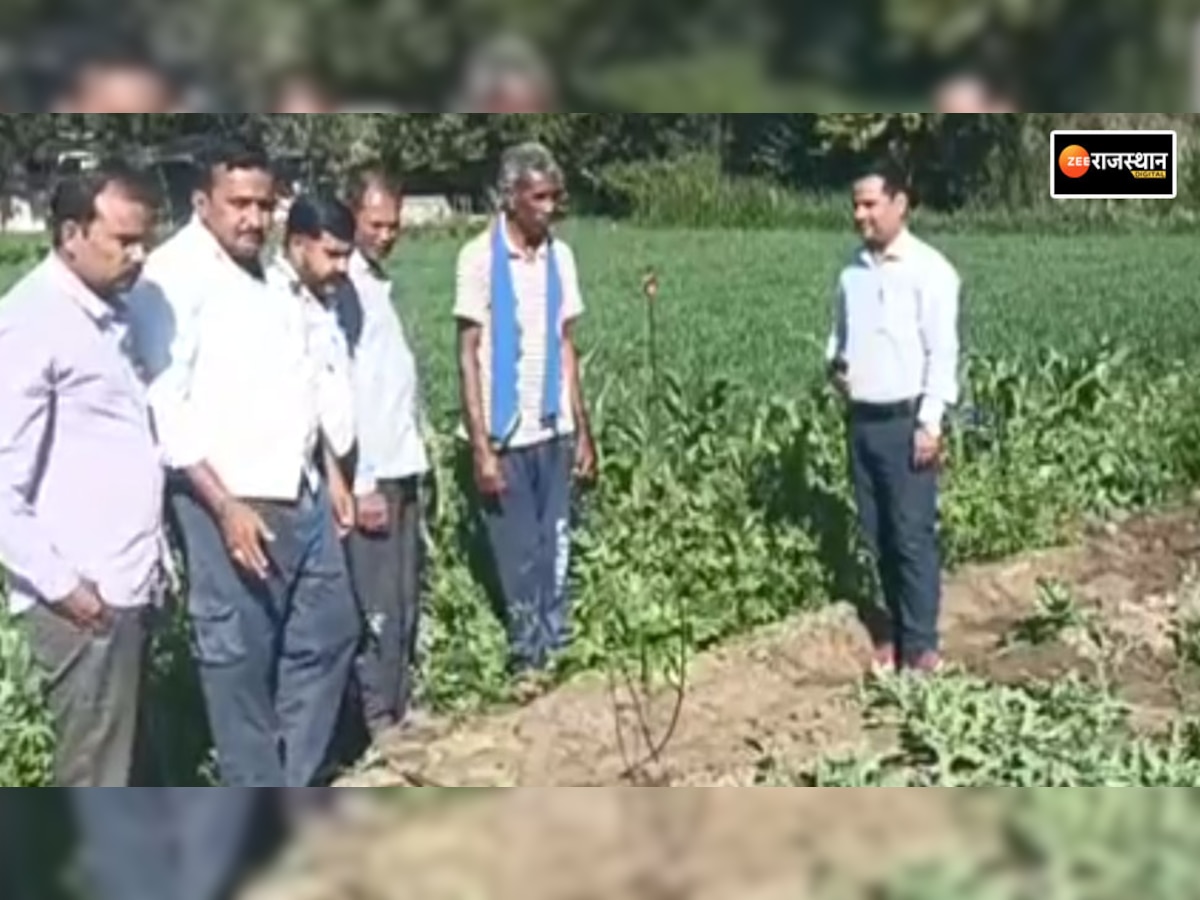 निम्बाहेड़ा: कृषि पर्यवेक्षक ने किसानों को दी उद्यान विभाग योजनाओं की जानकारी, यह रहे मौजूद
