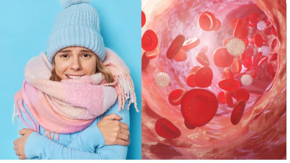 shivering with cold could be a symptom of iron deficiency iron rich