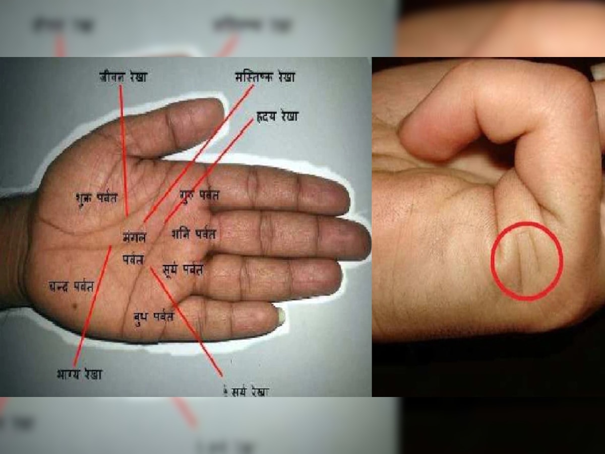 हथेली की ये रेखा बनाती है लव मैरिज का योग, जानिए क्या कहती है आपके हाथ की रेखाएं