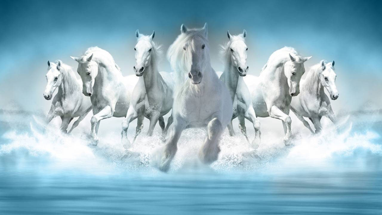 Large Black Horse Galloping In Snow Beautiful Desktop Wallpaper Hd :  Wallpapers13.com
