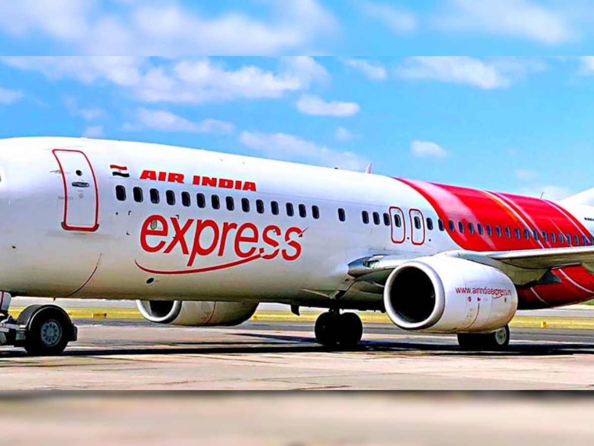 Snake in Air India Flight: एयर इंडिया की फ्लाइट में निकला सांप, दुबई लैंड हो रहा था विमान