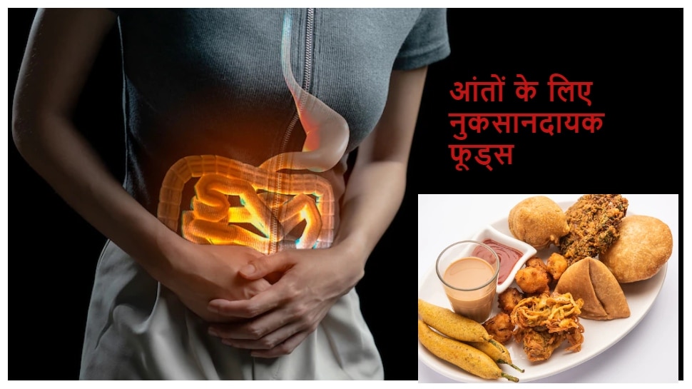 bad food for intestine digestion system health tips Digestion आंतों