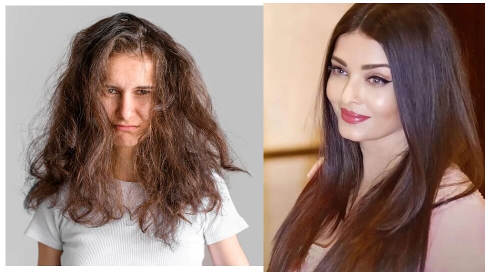Olive Oil Hair Mask To Get Soft Shiny Hair Frizzy Hair Solution  Hindi  News बल म महग शप क बजय लग ल य चज बल ह जएग सफट और  शइन