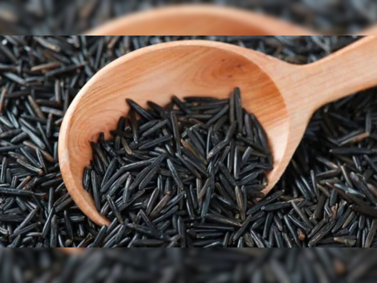 Black Rice Benefits: ନିଜ ଡାଏଟରେ ସାମିଲ କରନ୍ତୁ କଳା ଚାଉଳ, ଏହି ୪ ଘାତକ ରୋଗରୁ ପାଇବେ ମୁକ୍ତି