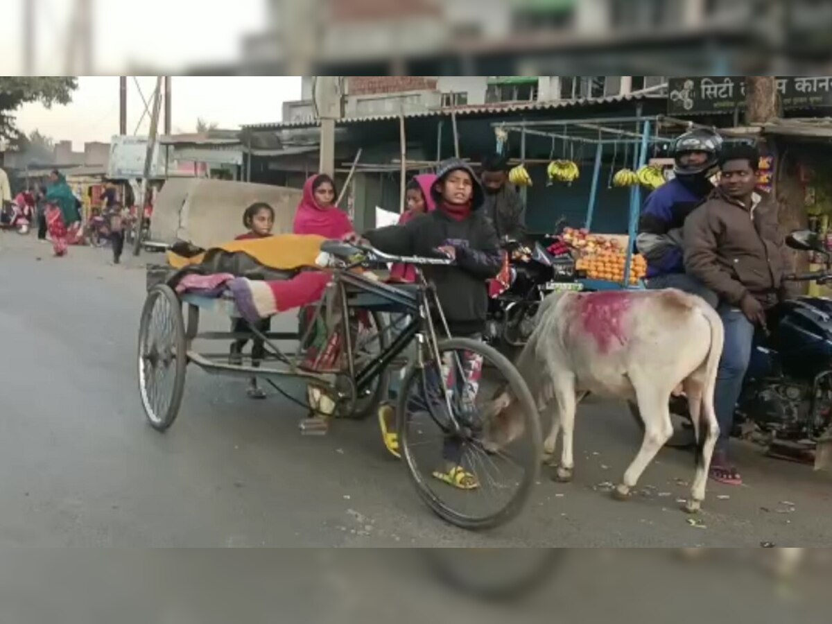 बोकारो में नहीं मिली एंबुलेंस, तो 10 साल के मासूम ने बीमार दादी को ठेले में लाद पहुंचा अस्पताल