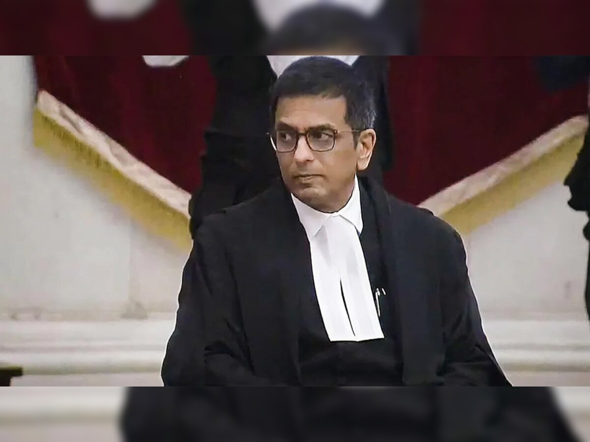 बिजली चोरी में दी 18 साल की सजा, लेकिन जज साहब 1 बात कहना भूल गए: CJI