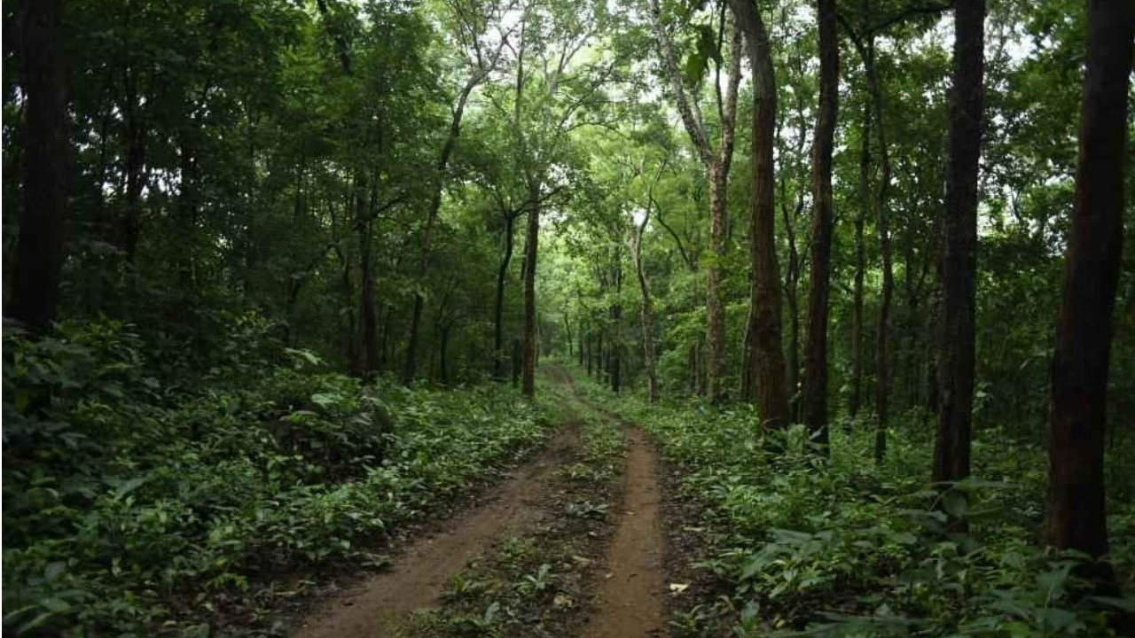 UP: लखनऊ में सांस लेने में होगी समस्या, राज्य सरकार के इस फैसले का पड़ेगा बड़ा प्रभाव