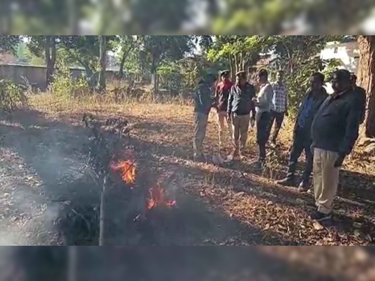 ग्रामीणों ने किया हिरण का शिकार, मांस पकाने का वीडियो भी आया सामने, 5 गिरफ्तार