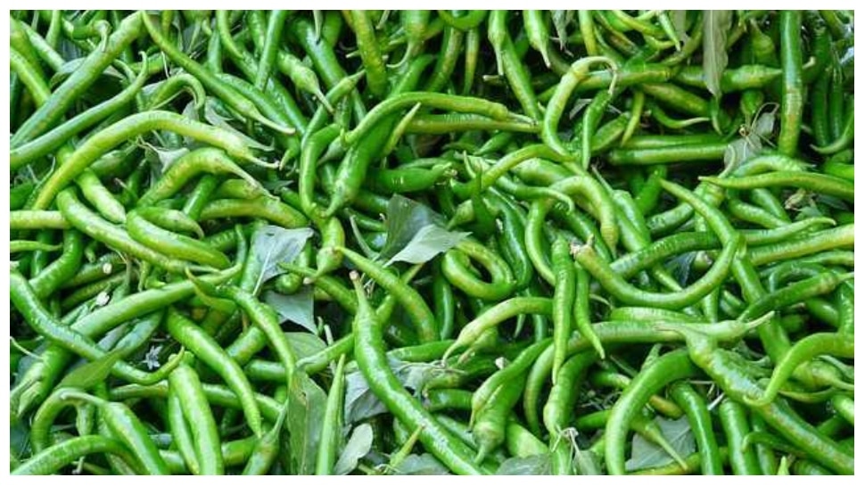 green chilli health benefits hari mirch ke fayde Green Chilli मिर्च