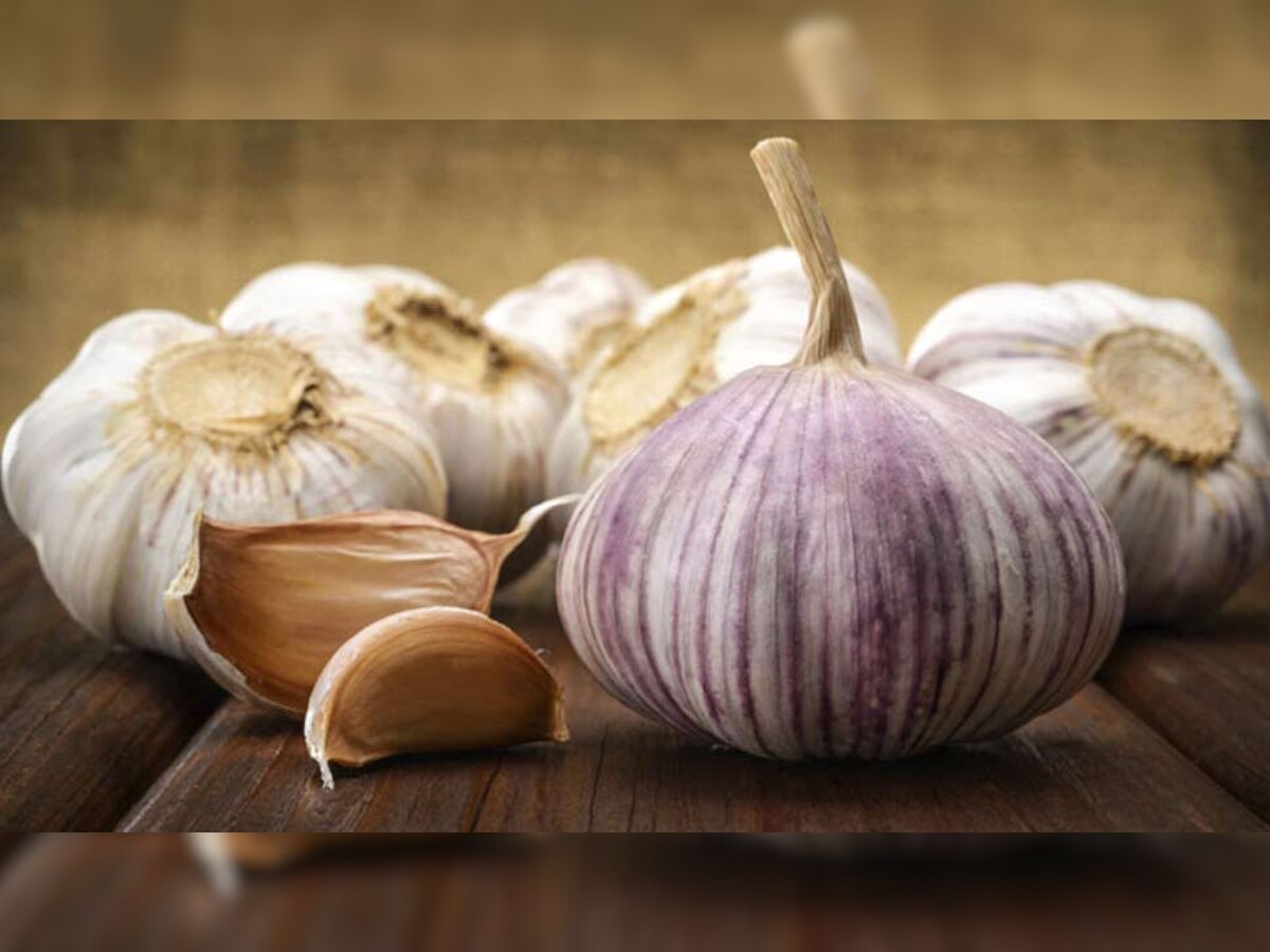 Prebiotic Foods For Intestine Health Gut Garlic Onion flaxseeds Banana