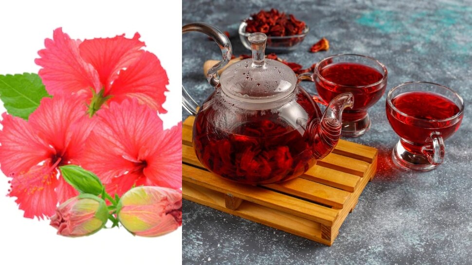 herbal hibiscus tea health benefits gudhal ki chay ke fayde Hibiscus