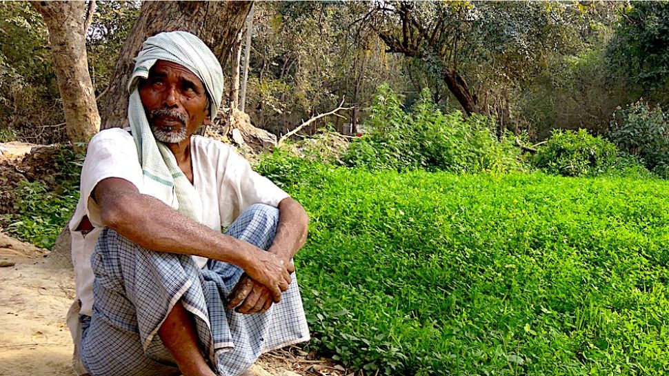 MP में मुश्किल में अन्नदाता! ट्रांसफॉर्मर लगवाने पर खर्च करें किसान और सर्विस चार्ज का फायदा उठाए बिजली विभाग!