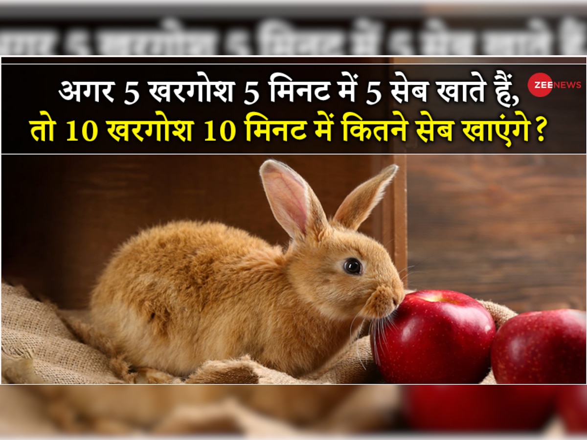 riddle quiz if 5 rabbits eat 5 apples in 5 minutes, how many apples