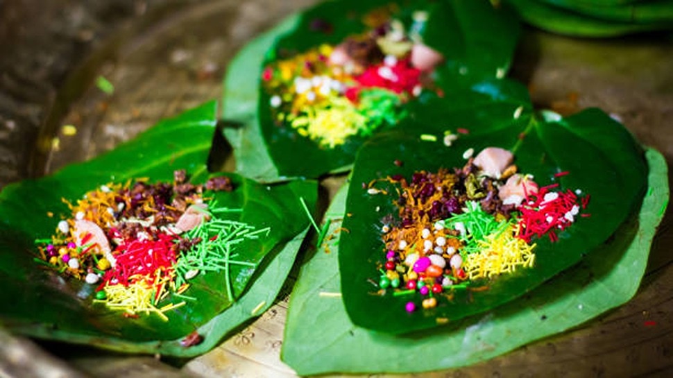 betel benefits and side effects why should not chew bete leaf Betel