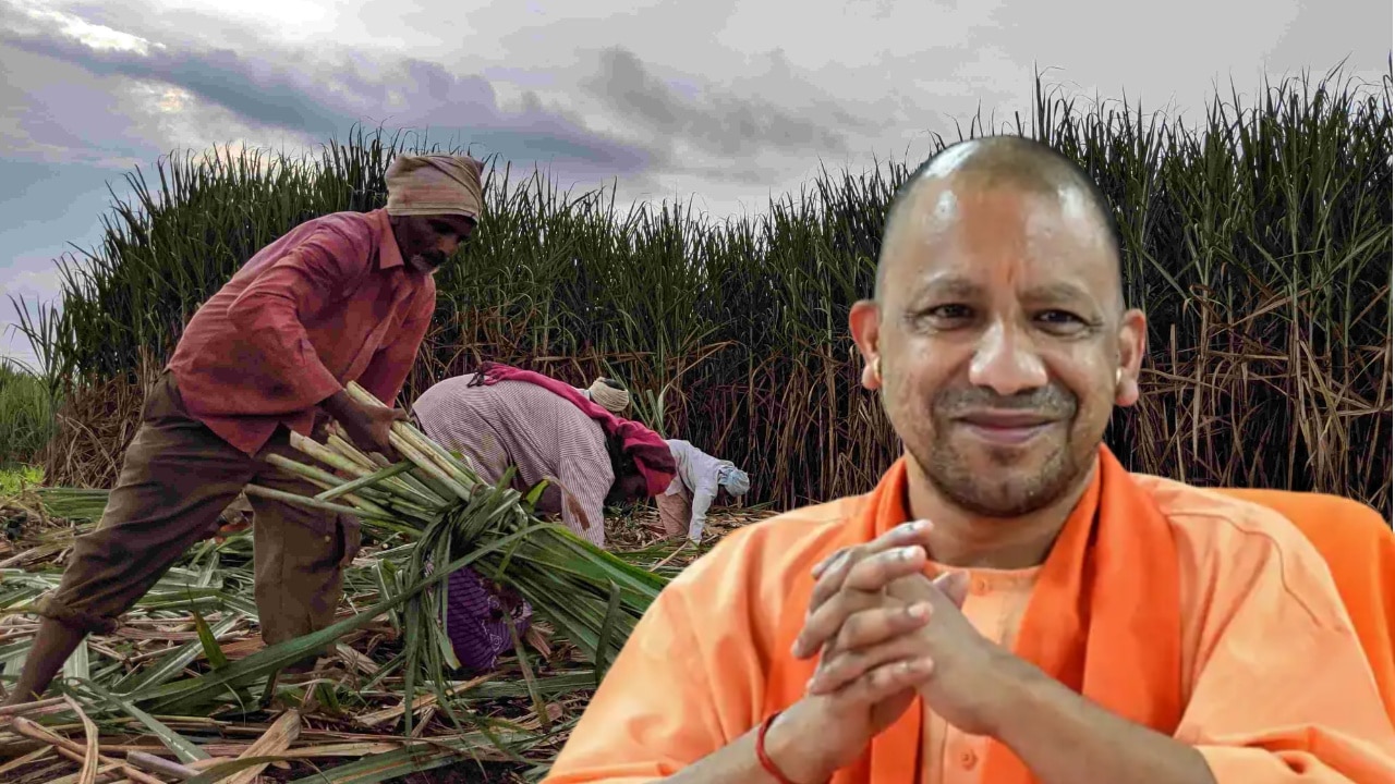 गन्ना किसानों के लिए सीएम योगी का तोहफा! अब एक फोन पर दूर होंगी मुश्किलें