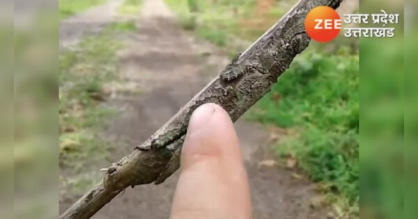 Unbelievable This Female Ninjas Camouflage Will Blow Your Mind - 3tmne4z