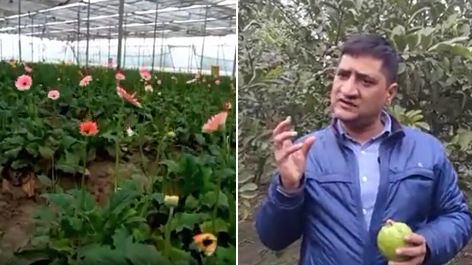 doctor became a farmer earning crores by cultivating flowers and guava