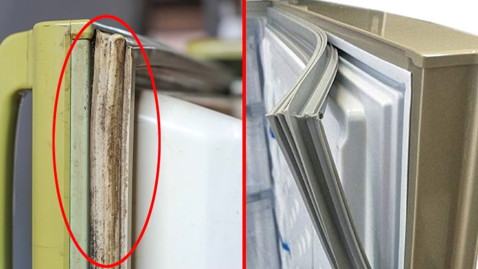 Refrigerator Gasket How to clean fridge Gasket and Refrigerator