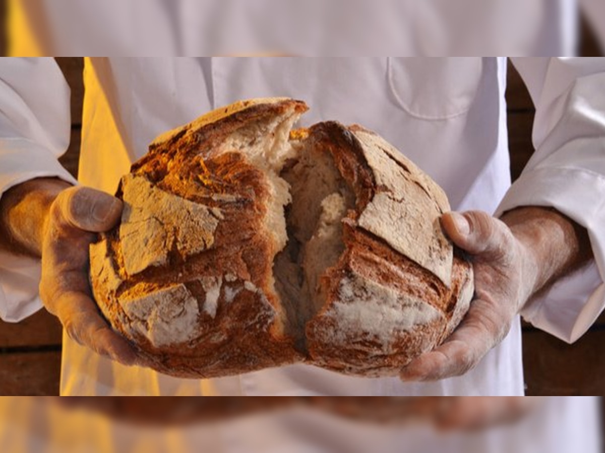 Brown Bread vs White Bread: कहीं आप भी ब्रेड खाने को लेकर कंफ्यूज तो नहीं, एक्सपर्ट ने किए चौंकाने वाले खुलासे
