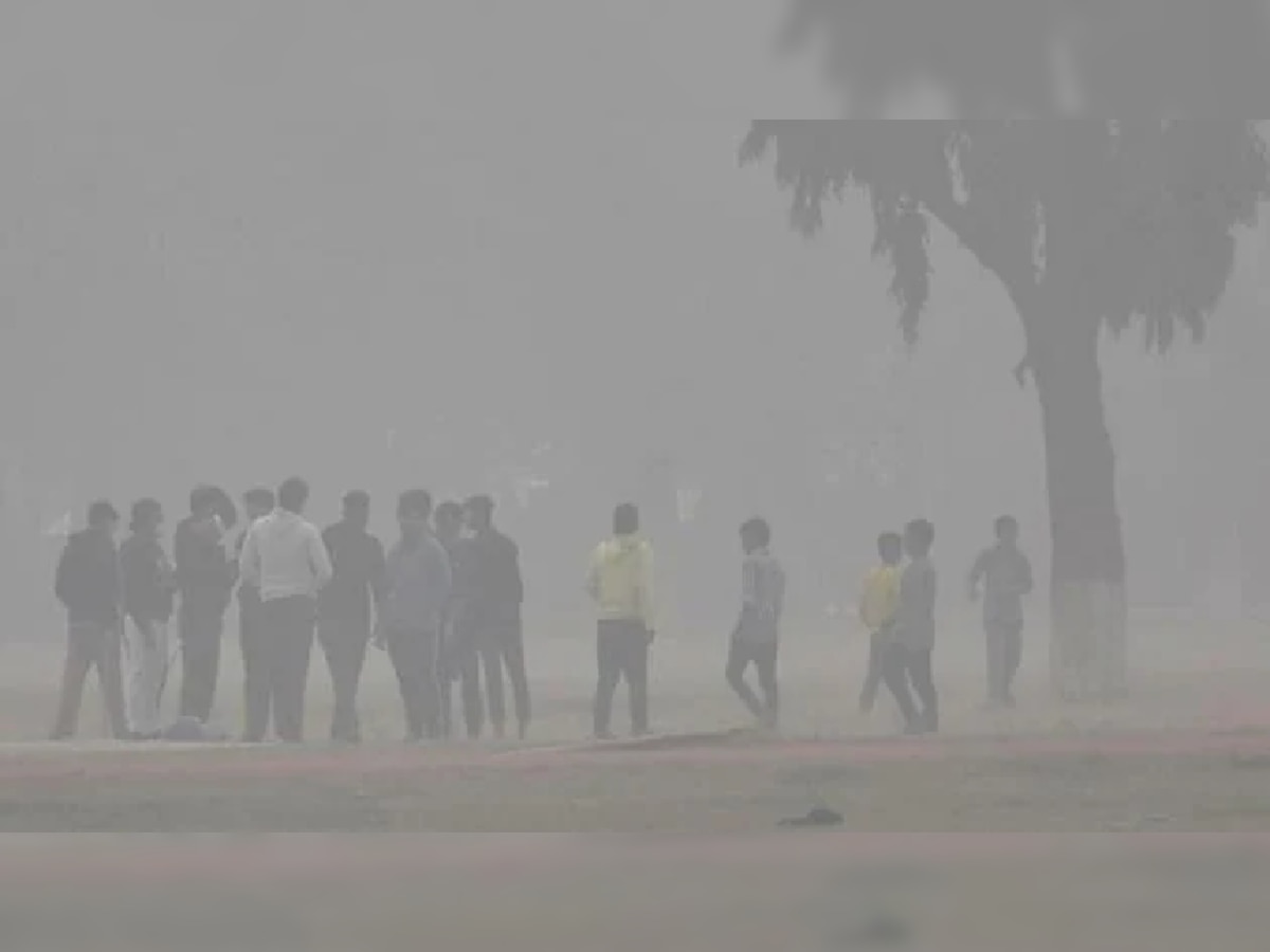 Bihar Weather Update: बिहार में शीतलहर का 'येलो' अलर्ट जारी, जानें अगले 5 दिनों तक कैसा रहेगा मौसम