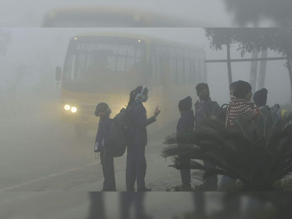 Weather Forecast: गलन भरी ठंड और कोहरे से कांपे लोग, इन शहरों में आज से बदल गई स्कूलों की टाइमिंग; आप भी जानें अपने शहर का हाल 