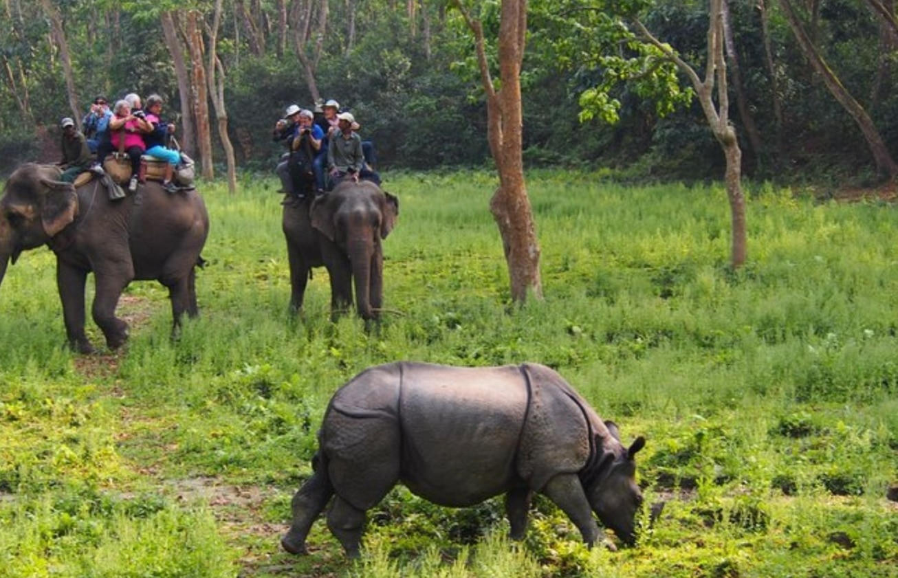 valmiki-nagar-tiger-reserve-is-ready-for-the-new-year-these