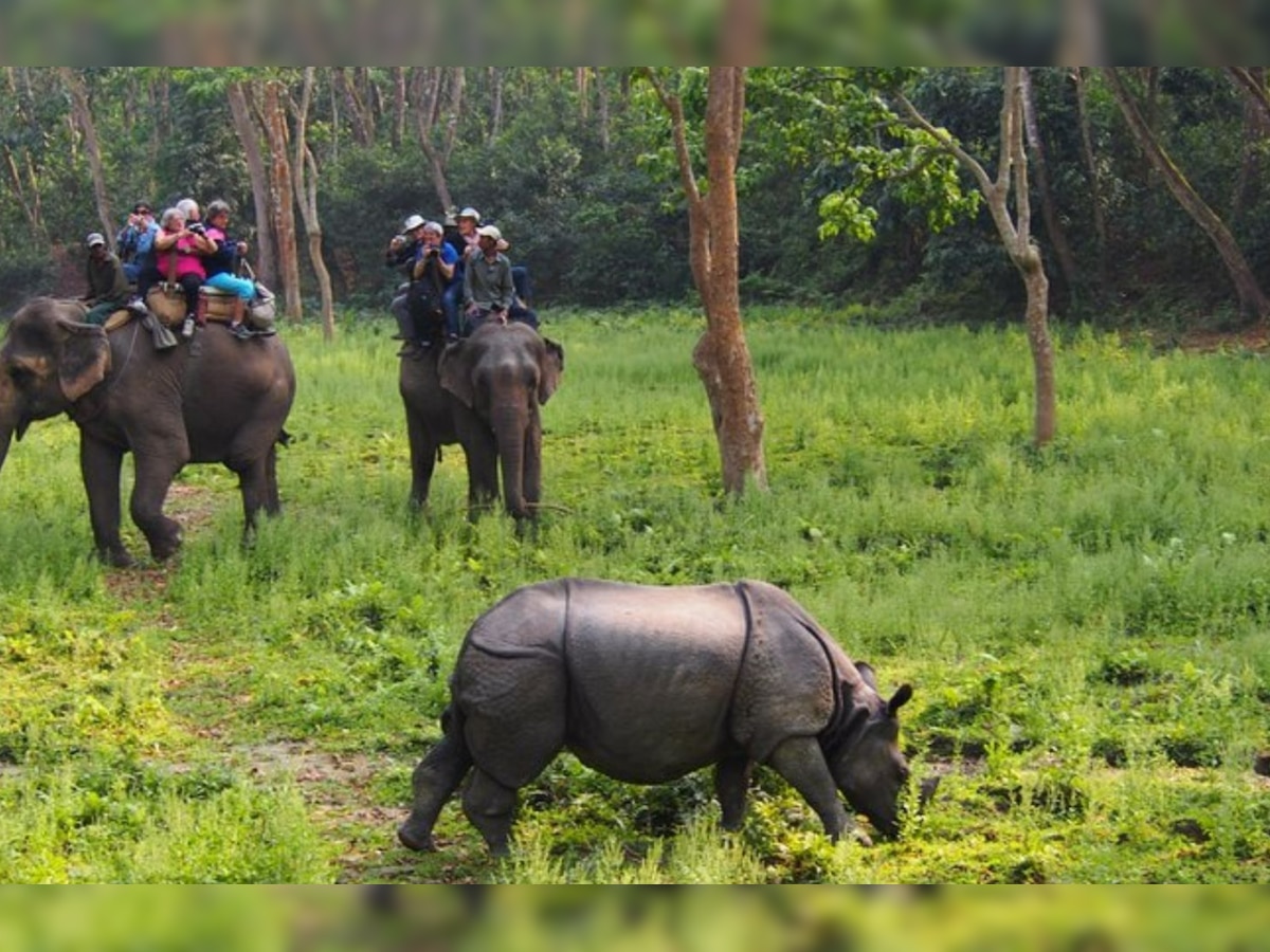 Valmiki Nagar Tiger Reserve: नए साल के लिए तैयार है वाल्मीकि नगर टाइगर रिजर्व, ये रहेंगी पाबंदियां