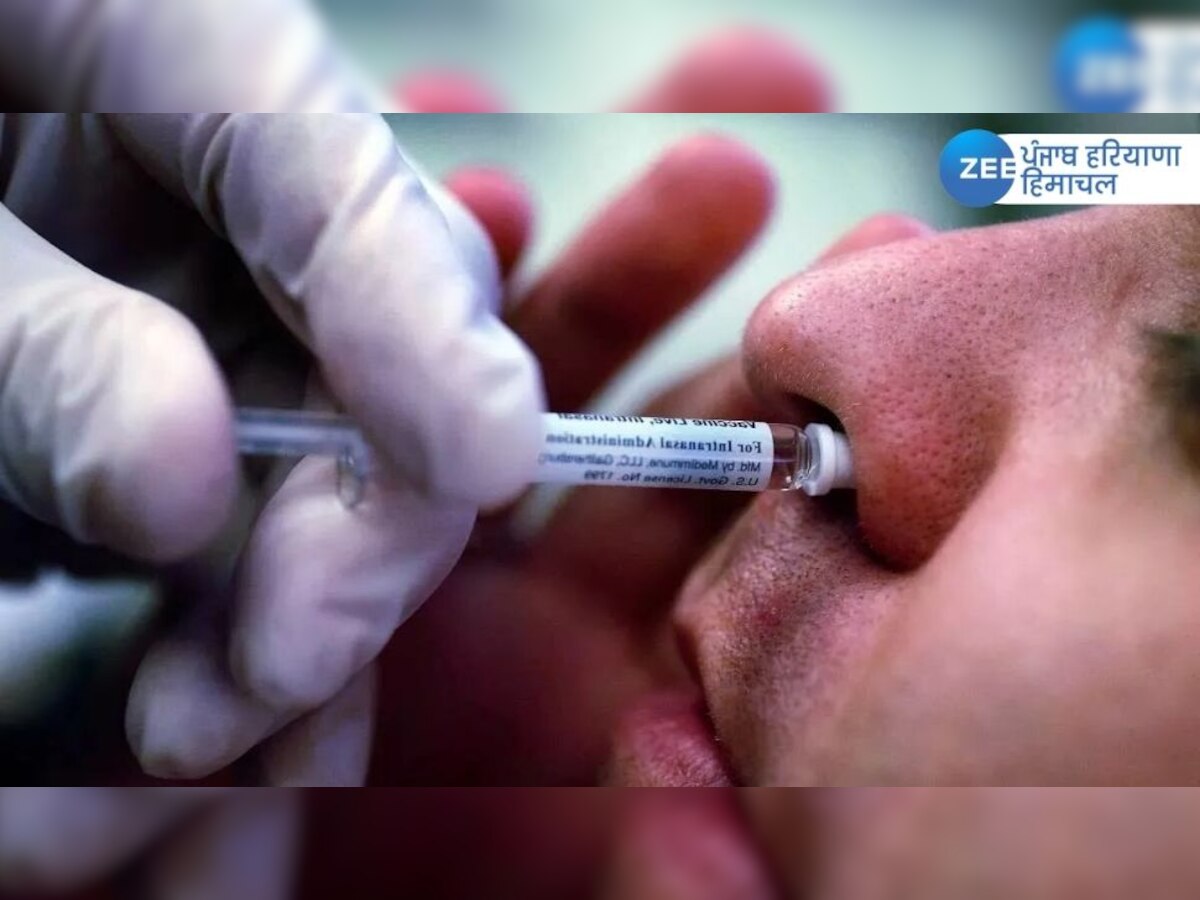 Covid-19 Nasal vaccine news: ਹੁਣ ਨੱਕ 'ਚ ਪਾਓ ਇਹ 2 ਬੂੰਦਾਂ ਤੇ ਕੋਰੋਨਾ ਖ਼ਤਮ! ਭਾਰਤ 'ਚ Nasal ਵੈਕਸੀਨ ਨੂੰ ਮਿਲੀ ਮਨਜ਼ੂਰੀ 