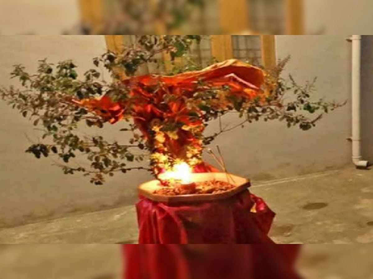 Tulsi Pujan Diwas 2022: तुलसी पूजन दिवस पर इस विधि से करें पूजा, कभी नहीं आएगी आर्थिक तंगी