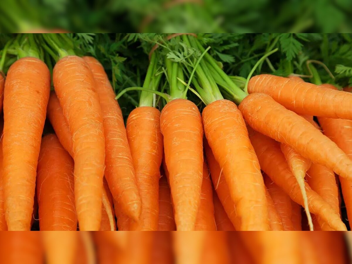 Carrot In Winter: सर्दियों में क्यों खाना चाहिए गाजर? जानिए इसके जबरदस्त फायदे